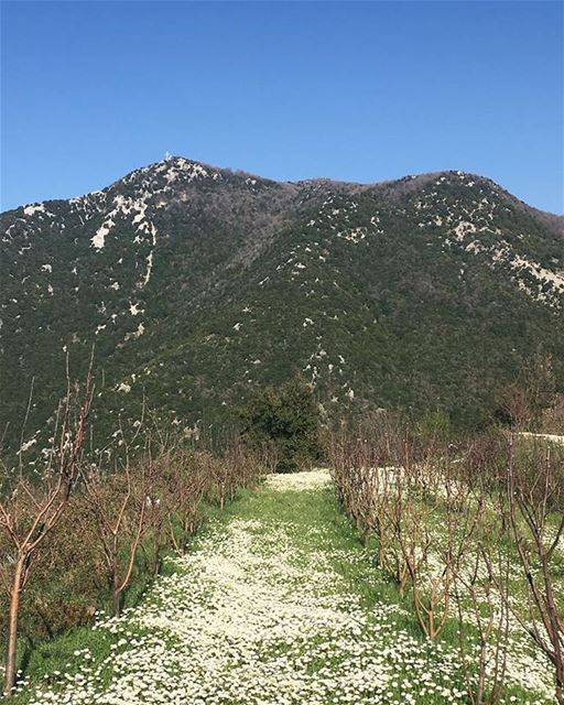 How about an exciting Sunday Hike in  JabalMoussa? ecotourism ... (Jabal Moussa)