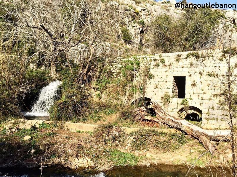 How about  ruines, fresh water and sublime  joz trees on the river shores ! (Nahr el Jaouz)