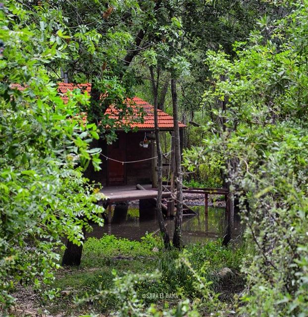How about some cabin love for Valentine’s Day?🙈❤️ (North Governorate)