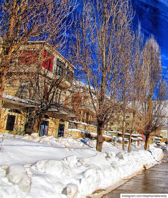 How cold are these naked trees!?!?  winter  picoftheday  photography ...