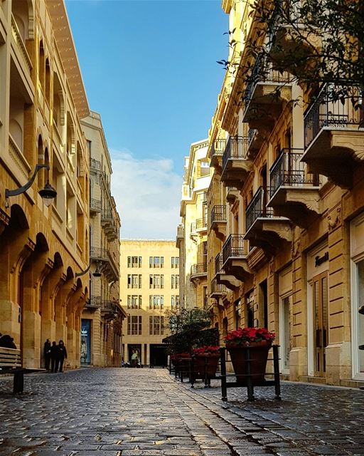 How do You know Cold is Harsh and Bitter if you don't feel it.. 🌬How... (Downtown Beirut)