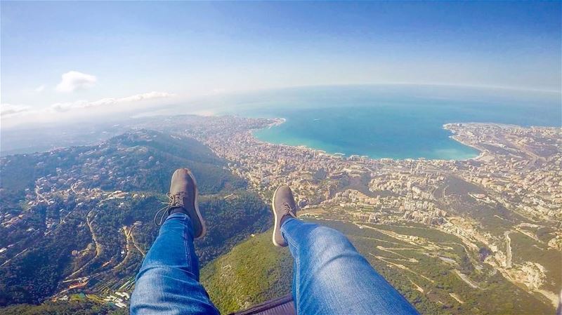 How far would you go just to feel alive and free ? 🕊🕊 - bird  nofilter ... (Beirut, Lebanon)
