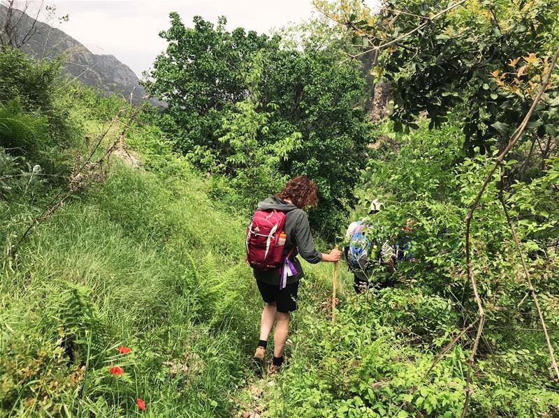 How I yearn for the sound of crunching leaves beneath my feet.  Lebanon ... (Lebanon)