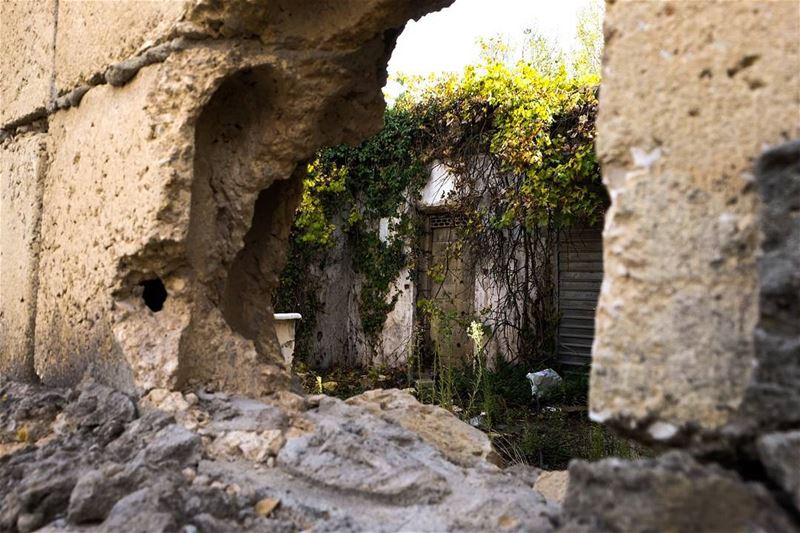 //How lovely the silence of growing things// livelovesawfar sawfar... (Sawfar, Mont-Liban, Lebanon)