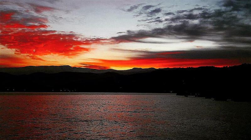 " How Many Nights Will We Go To Bed With Darkness Surrounding Us? With... (Chekka)