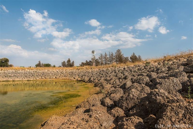 How many raindrops does it take to fill a Lake of water? Is it hundreds,... (Taanayel- Bekaa)