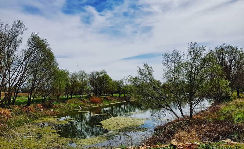 How  peaceful is it? 🏞 ammiq  livelovebekaa........... (Aammiq Wetland)