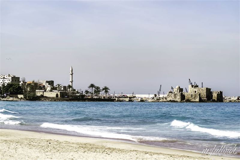 How was your day? Mine was like the shoreline, with cascading waves.. ...