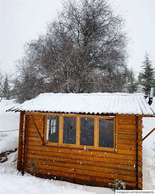 Humble like a cottage & strong like a white pure storm 🍃.🌲🌲🌲🌲🌲🌲🌲� (Bâroûk, Mont-Liban, Lebanon)