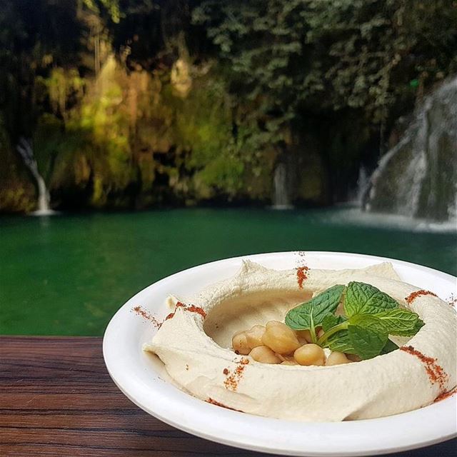 Hummus love❤️😍.. lebanon  lebanesefood  livelovelebanon  hummous ... (Shallalat Al Zarka شلالات الزرقا)