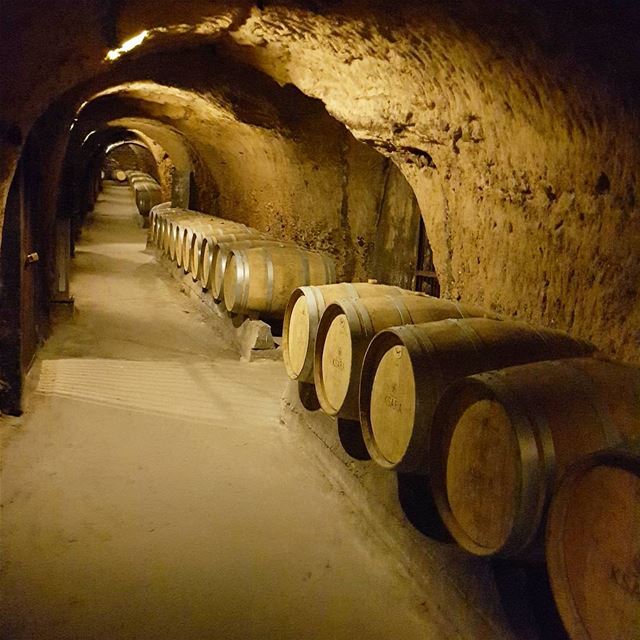 Hundreds of wine barrels inside the caves of Ksara at Château Ksara... (Château Ksara)
