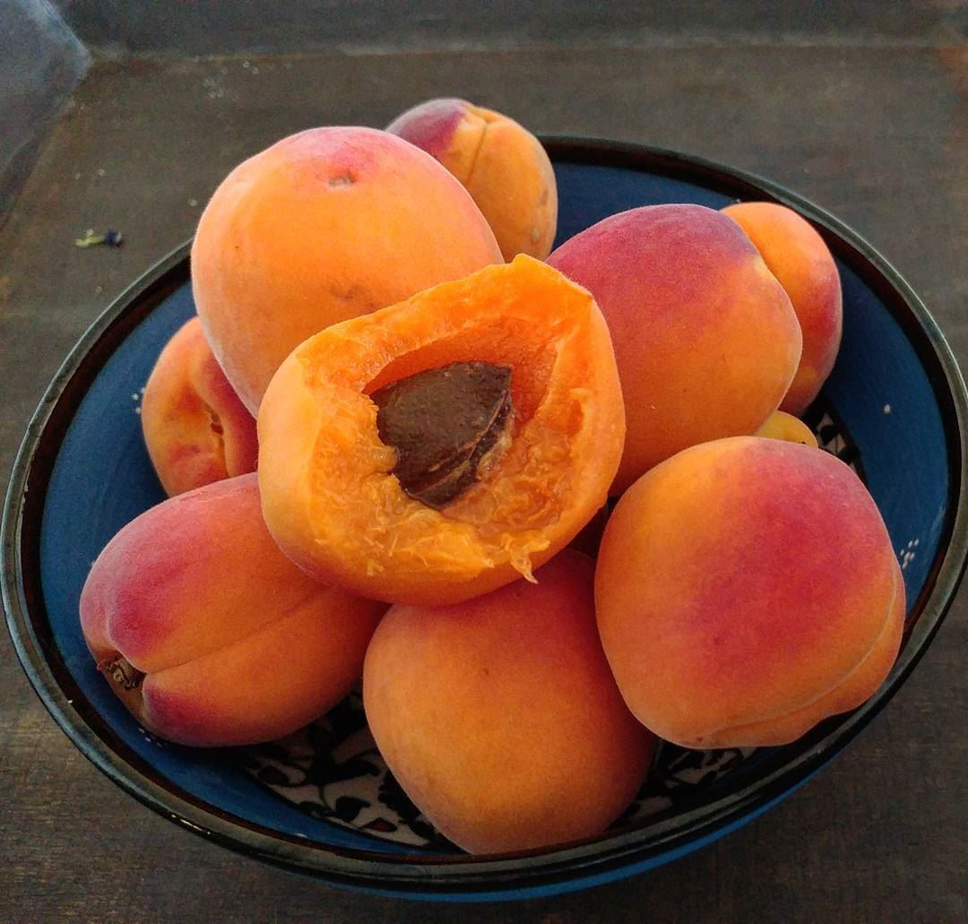 Hurry and stock-up on fresh apricots. Make jam. Recipe for sun-baked jam... (Dayr Al Qamar, Mont-Liban, Lebanon)