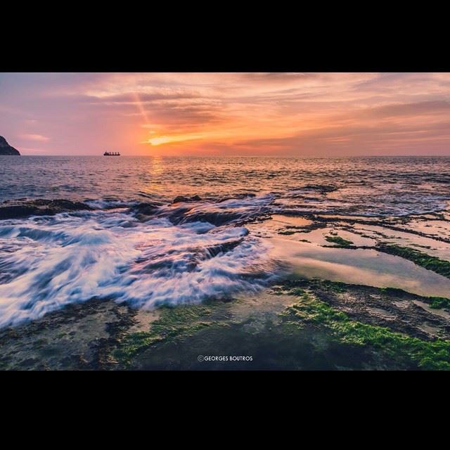 "Hypnotic" another distinguished request 😊Location: Chekka lebanon ... (Chekka Jdîdé, Liban-Nord, Lebanon)