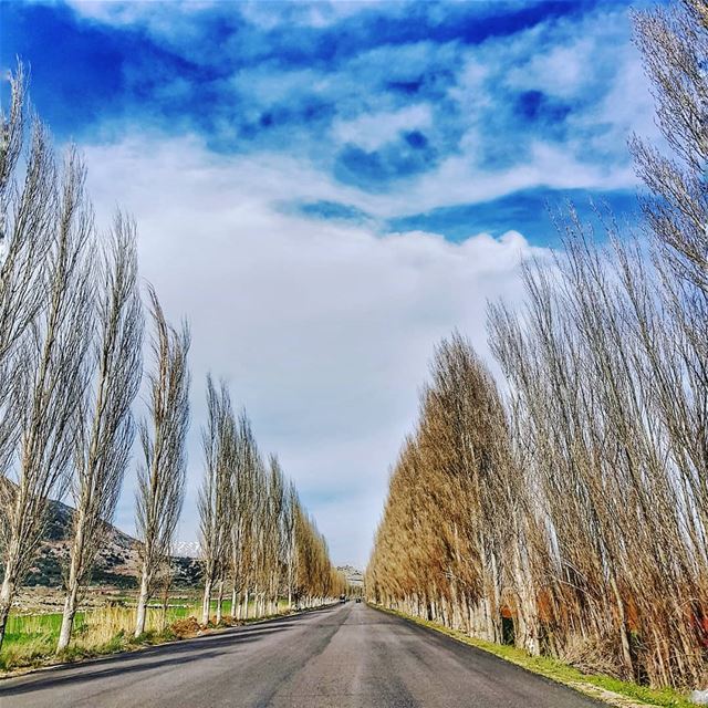 I always feel like  capturing this beautiful  bekaa road again and again 🛣 (West Bekaa)