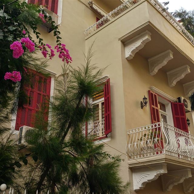 I always thought I liked blue shutters only until I saw these.  shutter ... (Beirut, Lebanon)