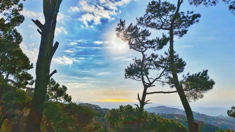 I am a wild woman, in freedom i do roam. I am sacred. I am divine... (Haïtoura, Al Janub, Lebanon)