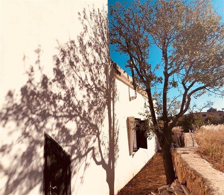 I am about as detailed as a shadow tree oldhouse shadowsandlight... (Valle de la Becá)