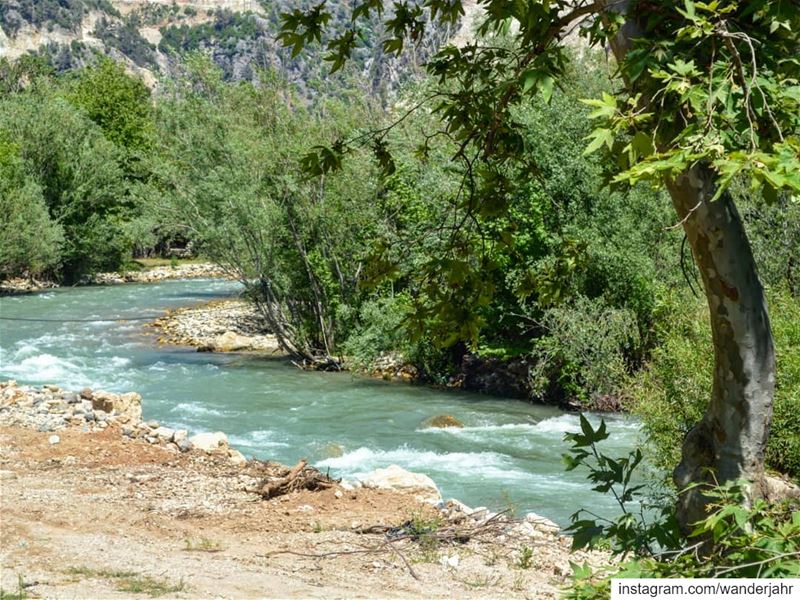 I am haunted by waters!! IBRAHIM RIVER 🌊💙🇱🇧  nature  hiking  trail ... (Qartaba)