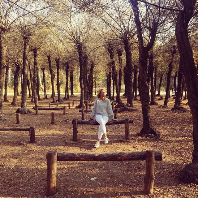 I am only one ,but still I am one . I cannot do everything but still I can... (West Bekaa)