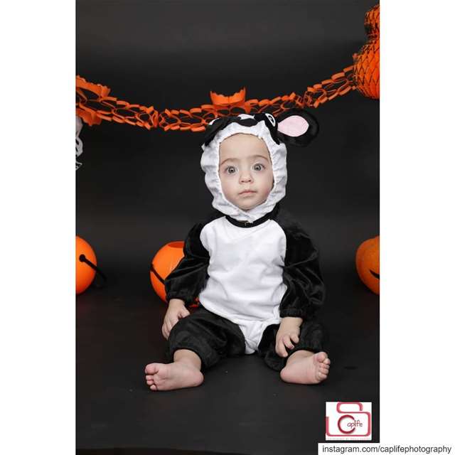 I am ready for Halloween 🐰🎃  halloween  halloweencostume  cute ...