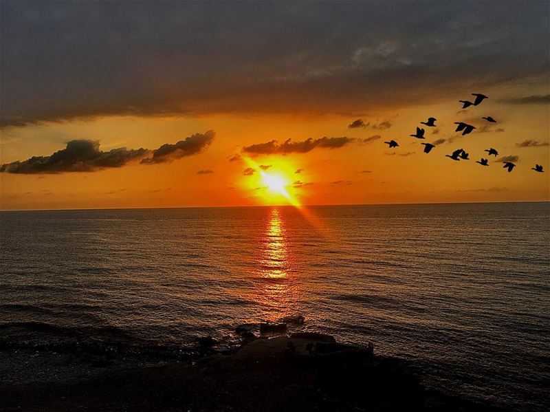 “ I Asked All The Angels Around Me For Advise...I Didn’t Know What Step I... (Batroûn)