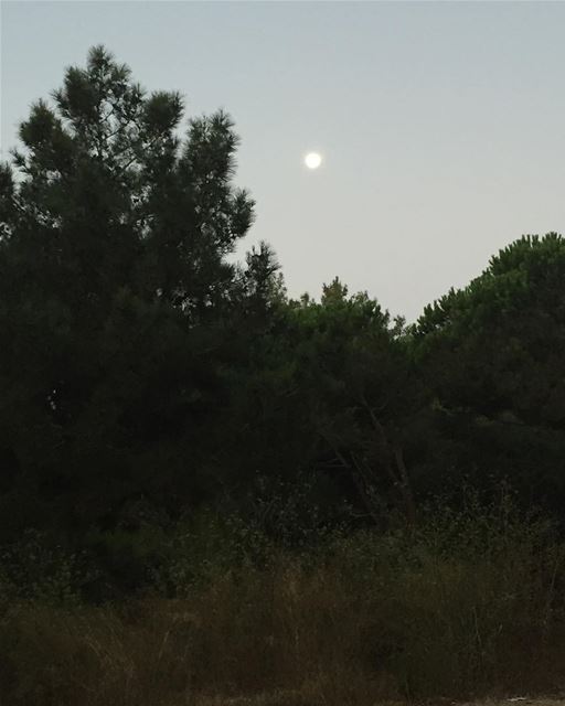 I believe certain people cross your life as guardian angels and some... (Broummâna, Mont-Liban, Lebanon)