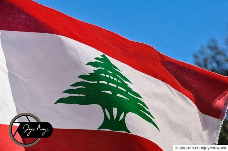I believe we can FLY🇱🇧🇱🇧🇱🇧🇱🇧🇱🇧🇱🇧 lebanon  🇱🇧  لبنان_ينتفض ...