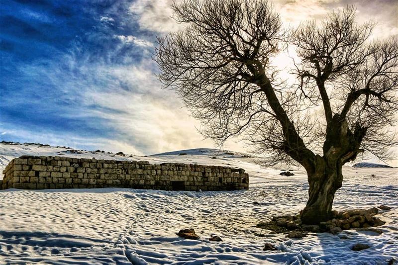 I can hear it calling me...  lebanon  snow  theimaged  agameoftones ...