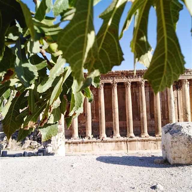 I can see this place with a little green..💚Good Morning people🌞———————— (Baalbek, Lebanon)
