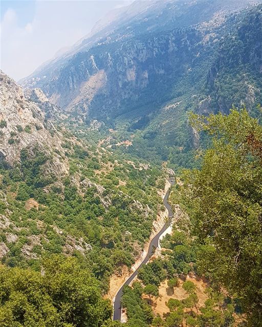 I can't change the direction of the wind, but I can adjust my sails to... (Ouâdi Qannoûbîne, Liban-Nord, Lebanon)