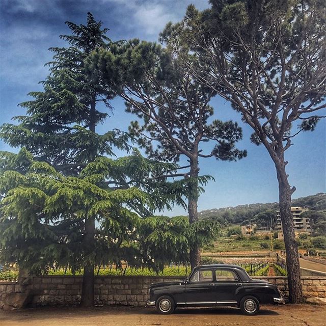 I come from a tiny place called Lebanon that you might pronounce wrong🚏.... (لبنان)