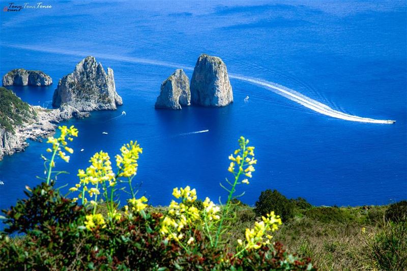 I couldn't ask for more !!!Perfect weather, clear blue sky and I am in... (Capri, Italy)