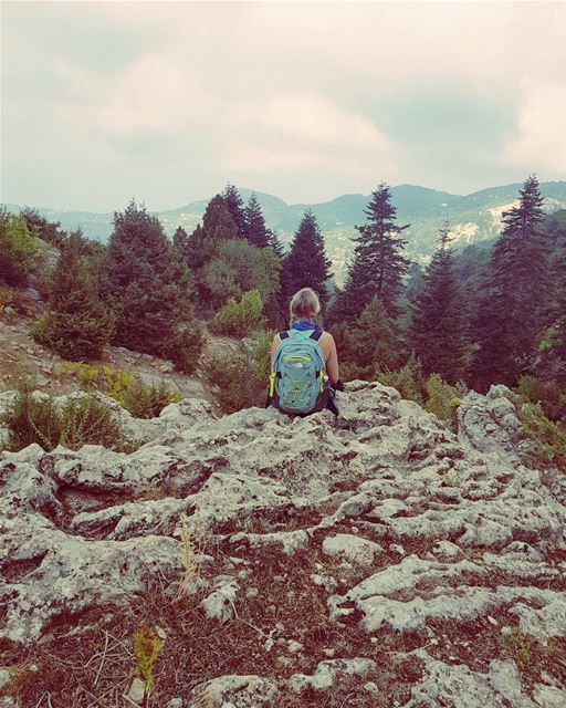 I don't deserve this ...darling ...you look perfect tonight ...... (El Qâmoûaa, Mont-Liban, Lebanon)