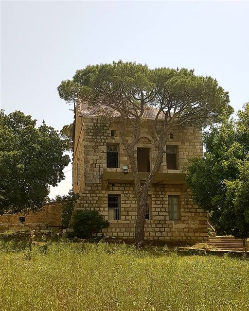 I don't want to be the other half of your soul. I want to be the one who... (Marjayoûn, Al Janub, Lebanon)