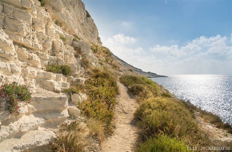 I dont lead nor follow, i make my own path..... nikon  photography ... (Naqoura)