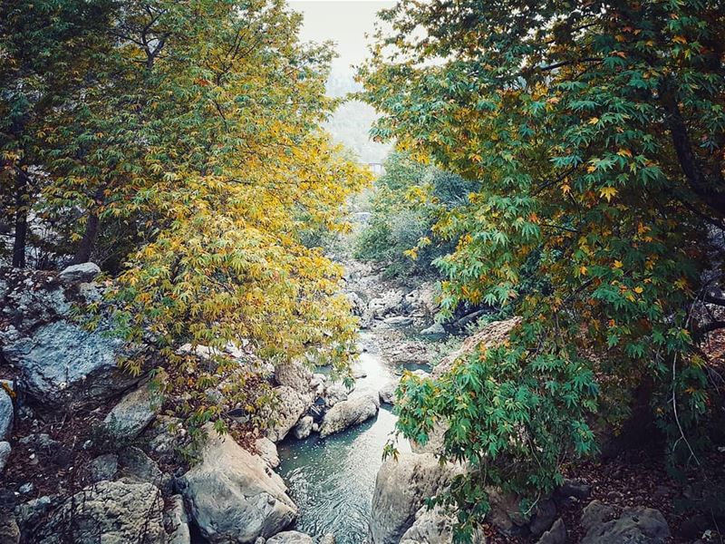 I feel  poetry in the air 🍂 octobervibes ........ kfardebian ... (Kfardebian,Mount Lebanon,Lebanon)