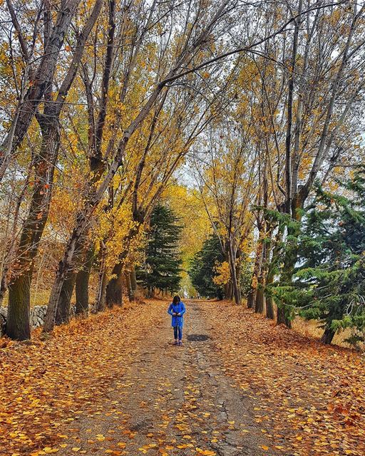 I fell in love with this  place 🍁🍂 livelovelaklouk ........... (Laklouk Village Vacances)