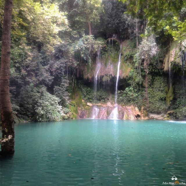 I find this strange comfort in being lost in lost 🏞  peterwenmaken @livelo (Baakline, Mont-Liban, Lebanon)