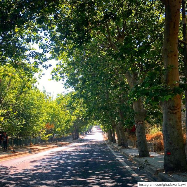 I found the road less travelled... it looks shady to me! 🤔........ (Sawfar, Mont-Liban, Lebanon)