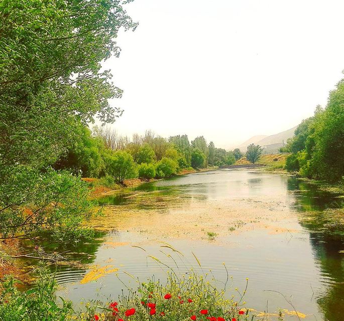 "I go to nature to be soothed and healed..." hikingadventure naturebeauty... (`Ammiq, Béqaa, Lebanon)