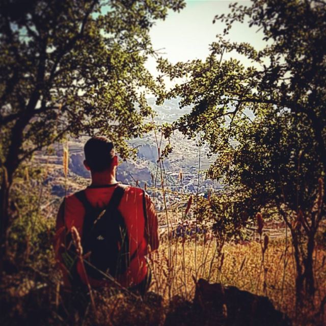 I go to nature to be soothed and healed 🍀 ...
