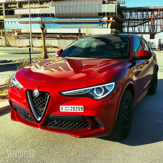 I had a blast in the new Alfa Romeo Stelvio Quadrifoglio, working on the... (Dubai, United Arab Emirates)