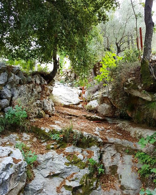 I have a profound need to retreat in nature, away from the noises of the...