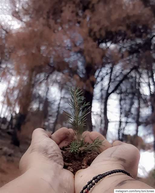 I HAVE A WISH !!!.I wish that we learn from the past so that we can plan... (Khirbet Qanafâr, Béqaa, Lebanon)