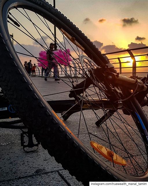 I have One brain& Five toes on both sides°♎........ cycling ... (Beirut, Lebanon)