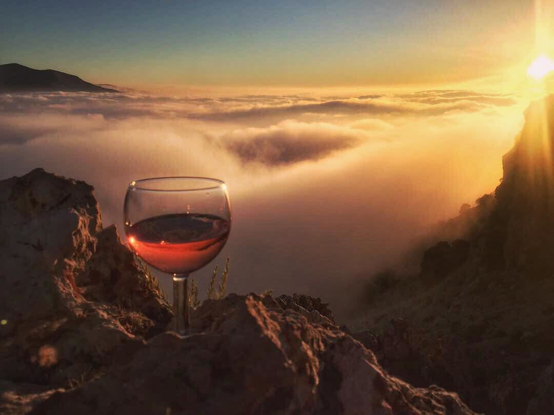 I just need you "🍷" and a sunset😌 ... (Cedars of God)