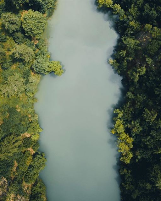 I lake you a lot!! 😉 (Lebanon)