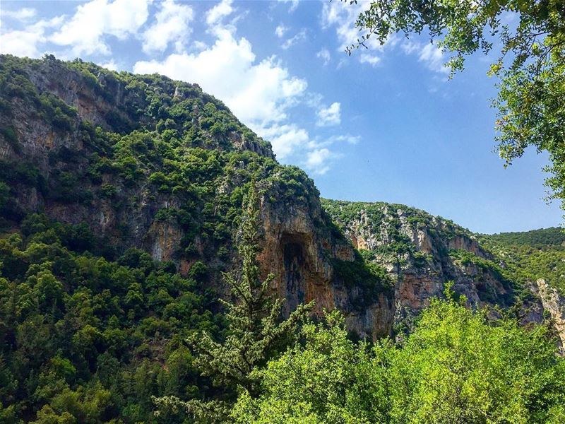 “I like this place and could willingly waste my time in it.”William... (Ouâdi Qannoûbîne, Liban-Nord, Lebanon)