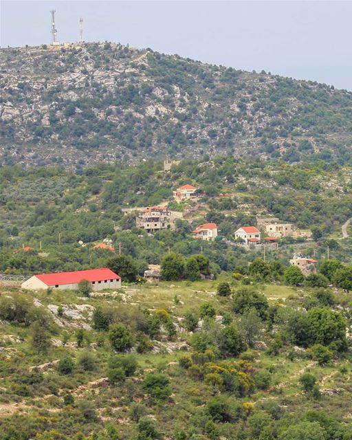 I live for teeny tiny red roofs on a green background 🤷🏻‍♀️❤ have a... (Mount Lebanon Governorate)