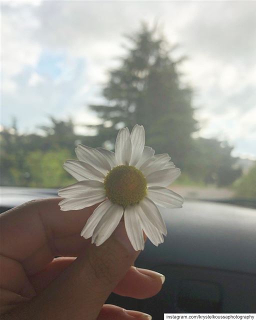 I’ll be back soon  Lebanon 💛 Meanwhile bring back the spring! (`Anjar, Béqaa, Lebanon)